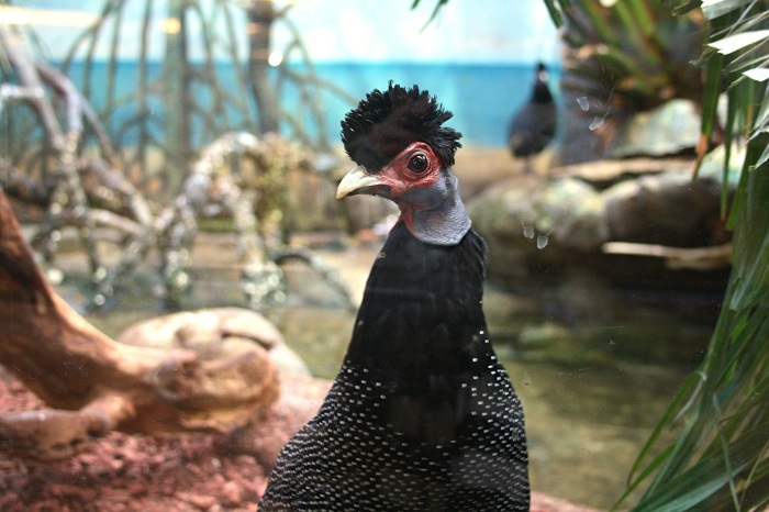 Московские каникулы. Часть 1