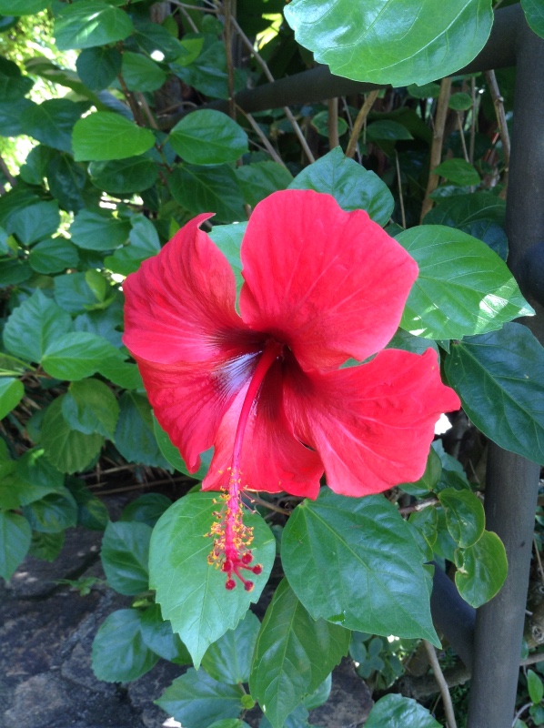 Путешествие Минуш в Испанию. Каталония. Ч.3. Райские сады