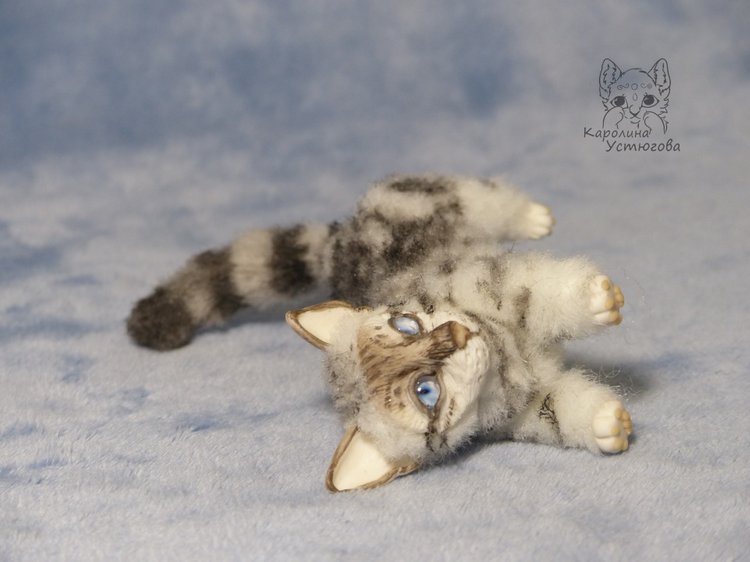 Бенгальская кошка, серебристая