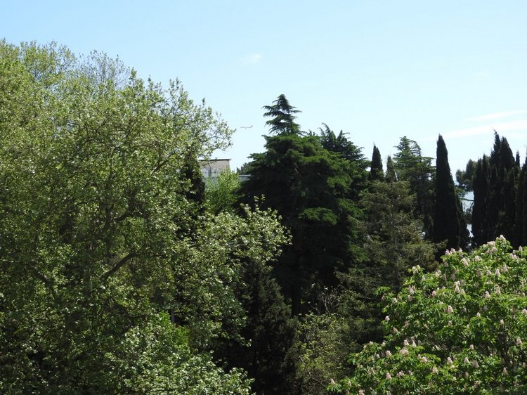 Сочи-Адлер: Южное Взморье - наблюдения за самолетами (фото 6)