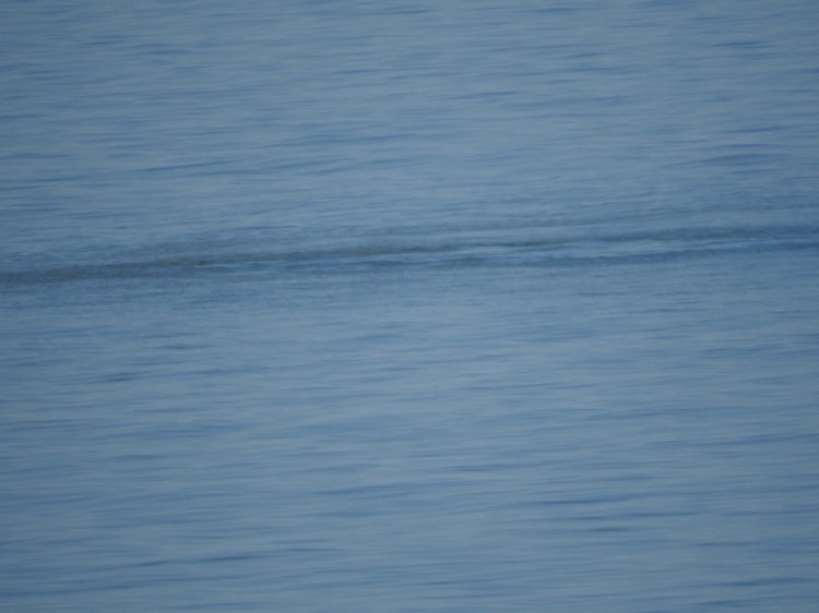 Сочи-Адлер: Южное Взморье - Красоты Черного Моря