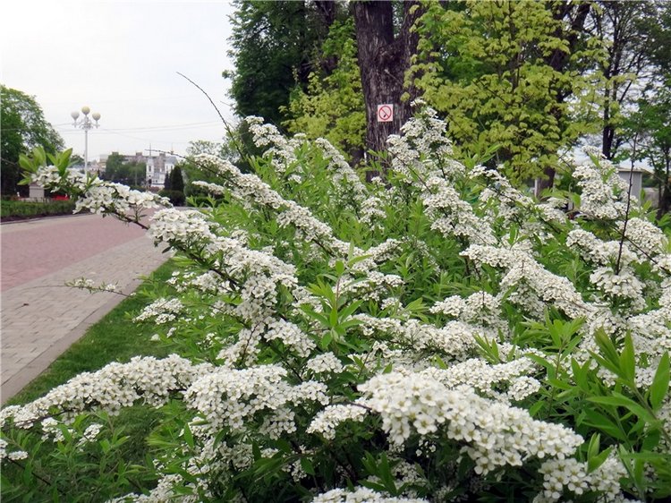 Милый мой город. Прогулка по Твери, заключительная часть (фото 6)