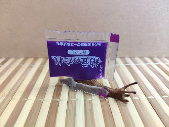 Что такое гасяпон — Домашние фото авторских игрушек: Тедди