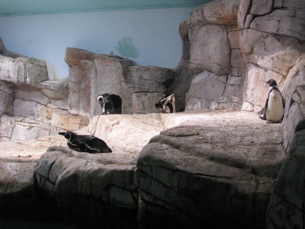 Путешествие на о. Кипр — Туризм и путешествия: фотоотчеты из поездок