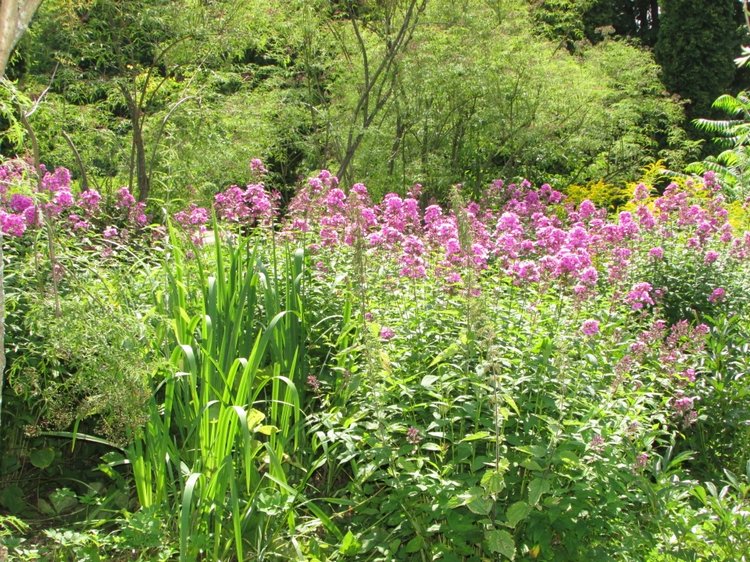 Малышня на прогулке в Бирюлёвском дендропарке
