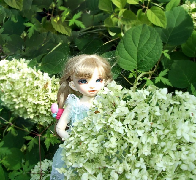 Кролики превращаются... превращаются... А котик улыбается)