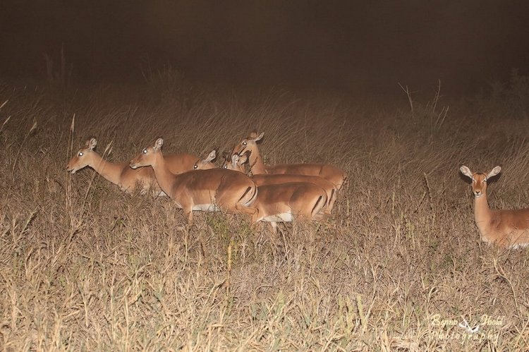 Любителям природы - профессиональные фотографии (выпуск 4)