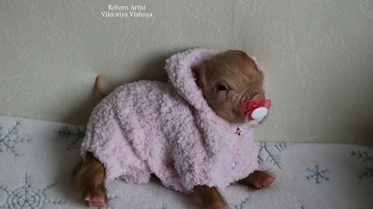 Поросенок Мила... куколка реборн Виктории Вишни (фото 8)