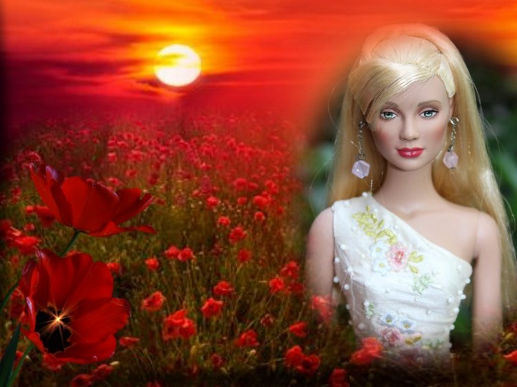 Мои Тоннерки. Фотозарисовки