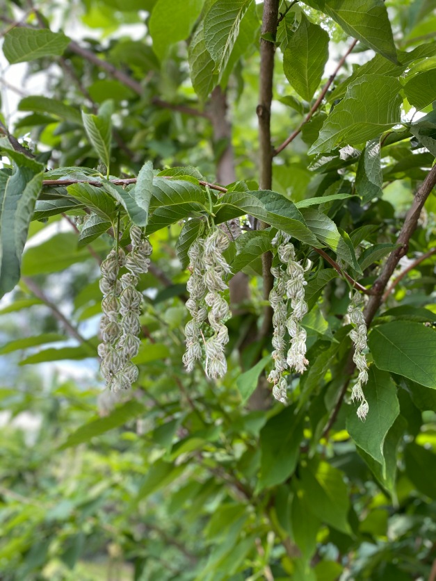 Галопом по Европам... 2 Часть