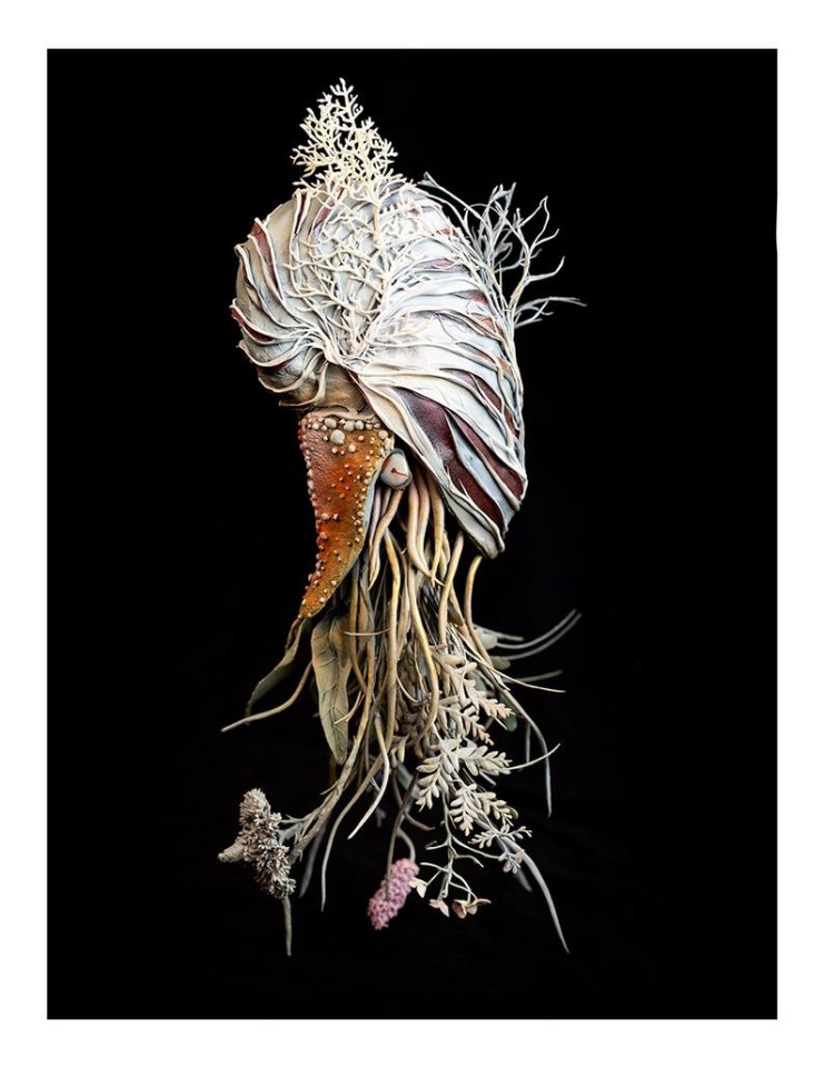 EllenJewettPrintShop - "Сюрреалистическая естественная история" by Ellen Jewett