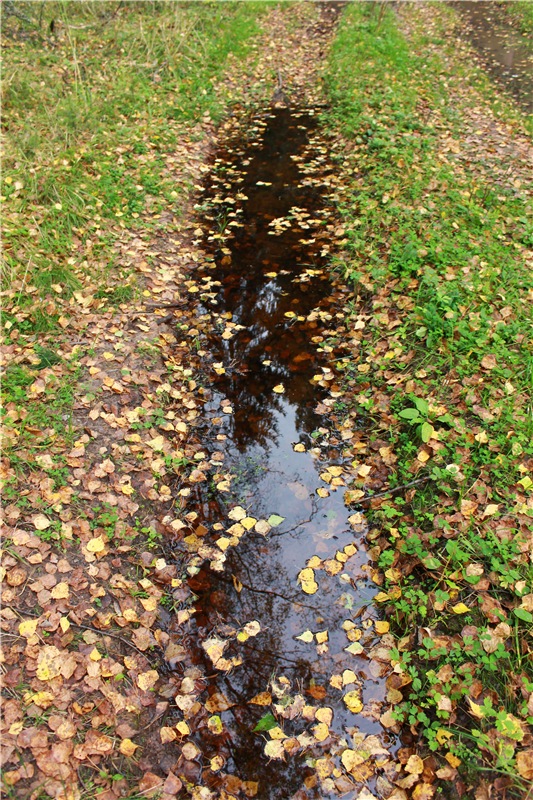 Имани. Прогулка в осенний лес. Mini Imani от Kaye Wiggs (фото 10)