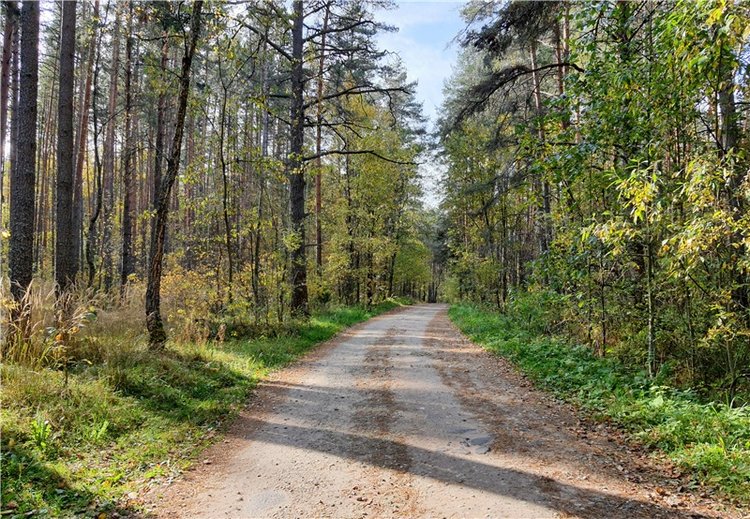 Путешествие Имани на Волгу. Mini Imani от Kaye Wiggs