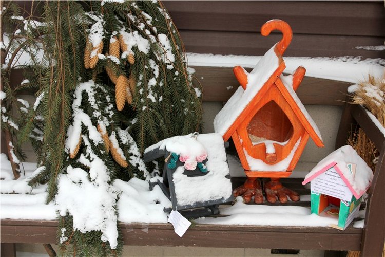 Тверской Ботанический Сад, заключительная часть (фото 4)