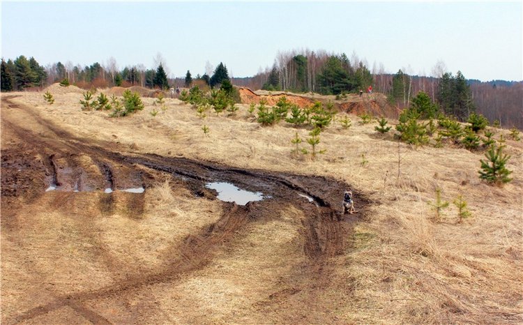 Путешествие Имани в ПанИку (фото 9)