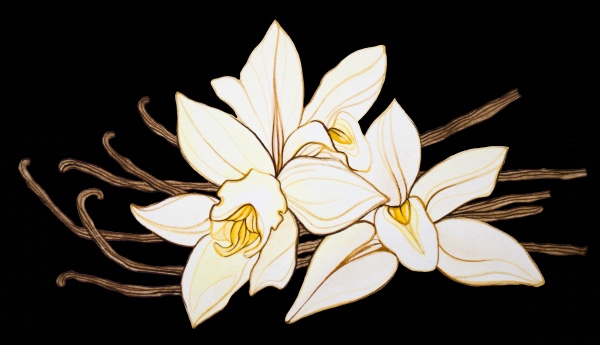 Ваниль. Ванильное небо. Hildegard Guenzel - Jule (фото 2)