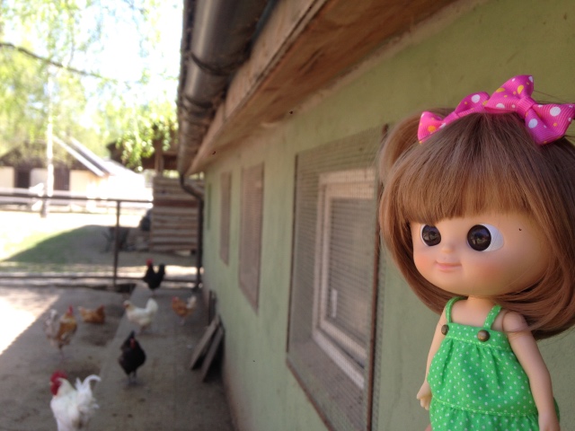 Как мы побывали в Некотором царстве ... с Mui-chan