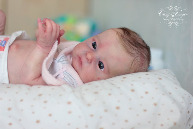 Тинк, мой любимый птенчик. Кукла реборн Венгер Олеси (фото 2)