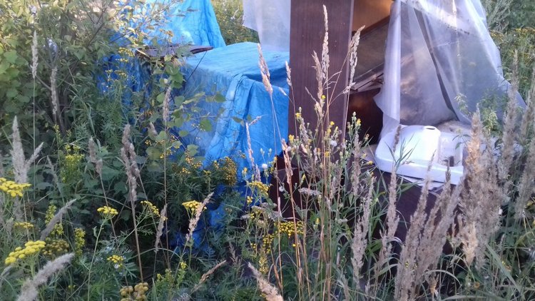 Сельская Санта-Барбара (Кирпич)