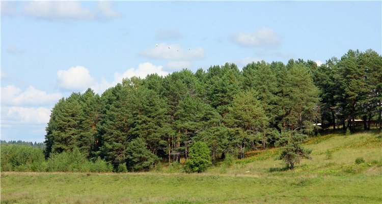 Старицкая Швейцария. Путешествие с Сашей, продолжение. Уникальная кукла от Сильвии Наттерер