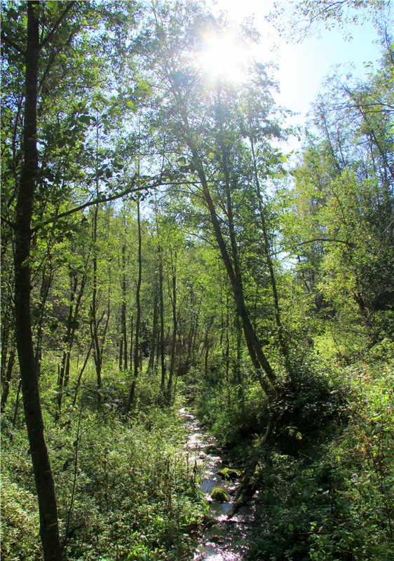Старицкая Швейцария. Старицкие пещеры, д. Толпино, заключительная часть