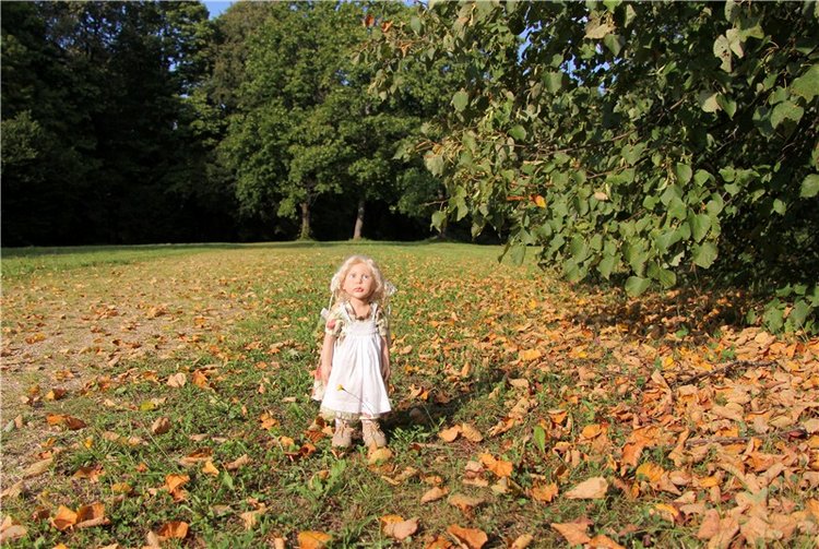 Августовская прогулка в Берново. Zwergnase Mischa