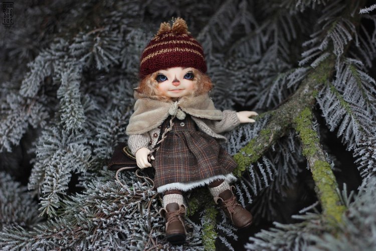 Зимние прогулки с Корицей, Мией и Волчком (фото 6)