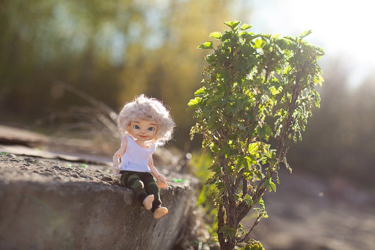 Первая прогулка Мармеладика (фото 4)