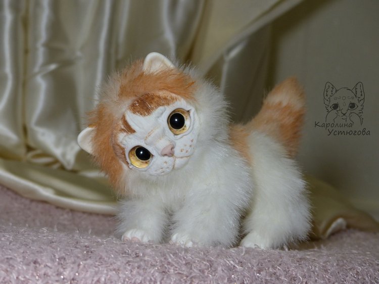 Обыкновенный котенок и его день (фото 10)