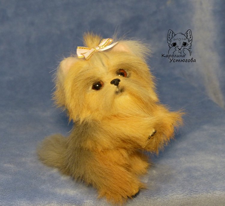 Щенок Йоркширского терьера (фото 4)