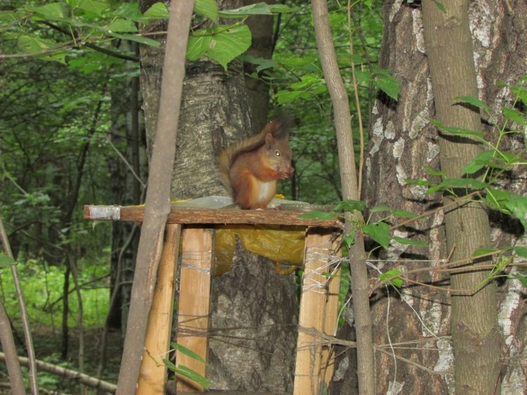 Веселое путешествие по Парку Измайлово