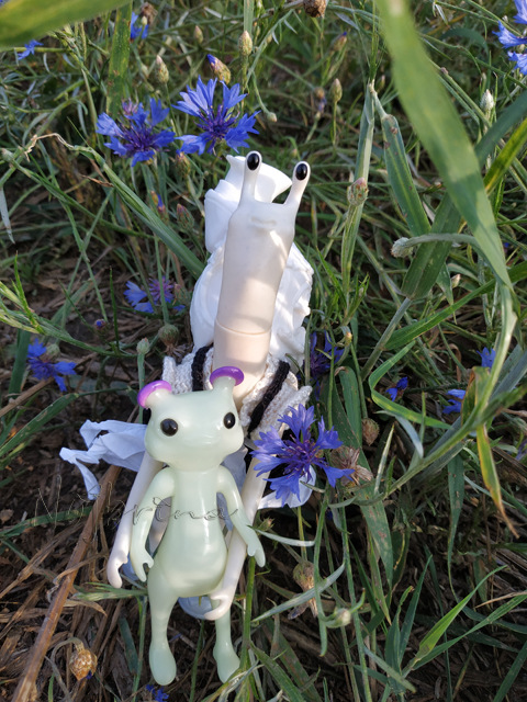 Wonderfrog. Красота в простоте