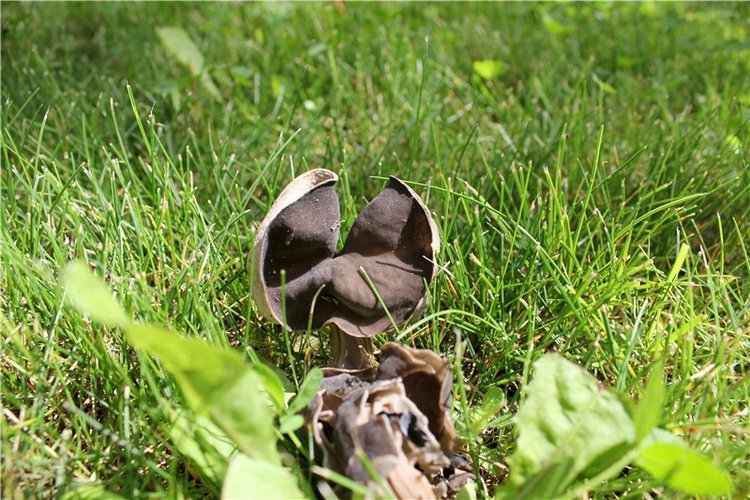 Любимая Старица. Свято-Успенский мужской монастырь