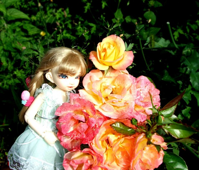 Кролики превращаются... превращаются... А котик улыбается)