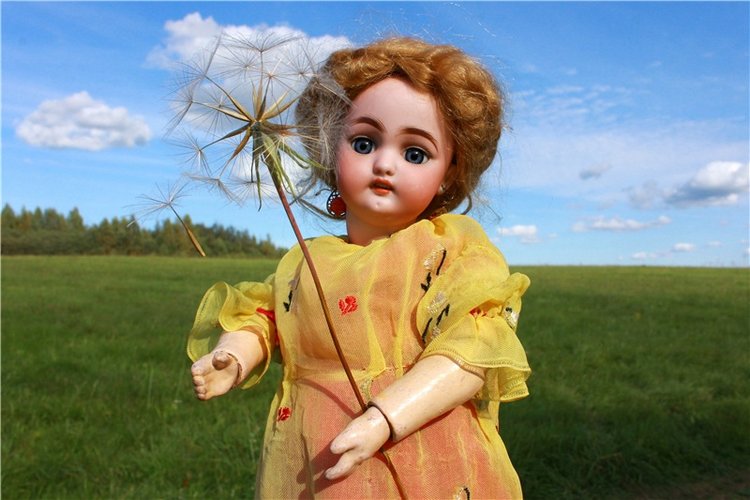 Странница во времени — Антикварные куклы Simon & Halbig (S&H): Симон Хальбиг