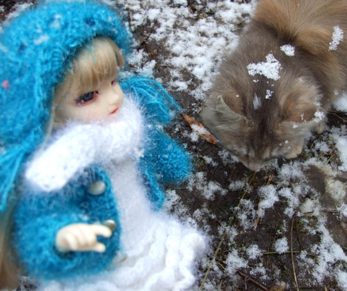 Утром кот принёс на лапах первый снег (фото 2)