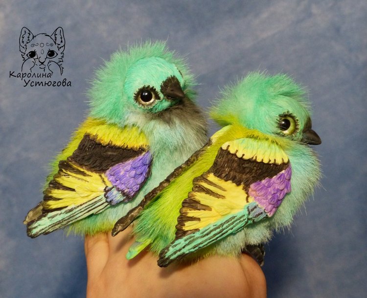 Зеленоголовая танагра, чудо птичка