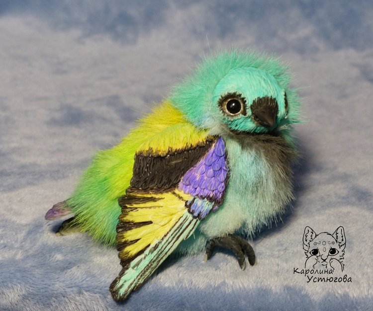 Зеленоголовая танагра, чудо птичка (фото 9)