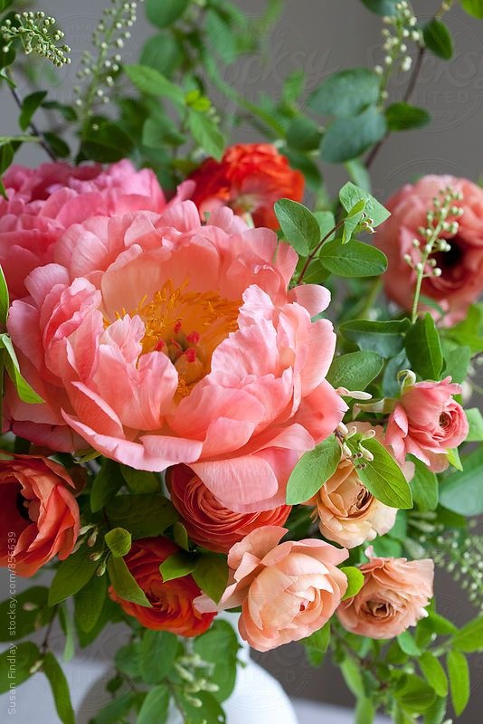 8 марта - Женский день — Болталка и разговоры обо всем: жизнь