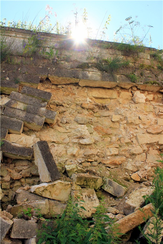 Тайны Древней Старицы — Культура