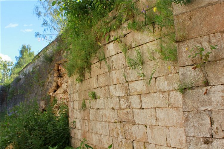 Тайны Древней Старицы — Культура