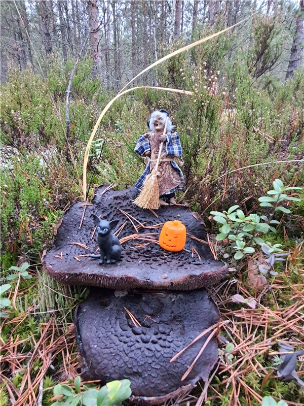 Сказка Оршинского Леса | Бэйбики Сказка Оршинского Леса — Куклы Meadow dolls (Медовушки): BJD (БЖД) (фото 9)