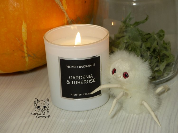 Halloween и маленькие паучки