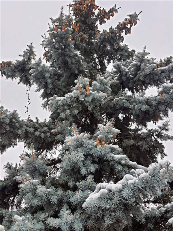 Город, в котором я живу — Туризм и путешествия: фотоотчеты из поездок (фото 5)