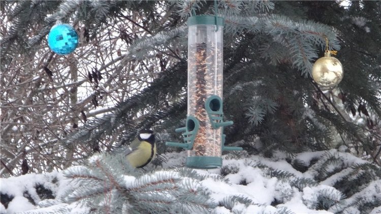 Счастье есть! Продолжение
