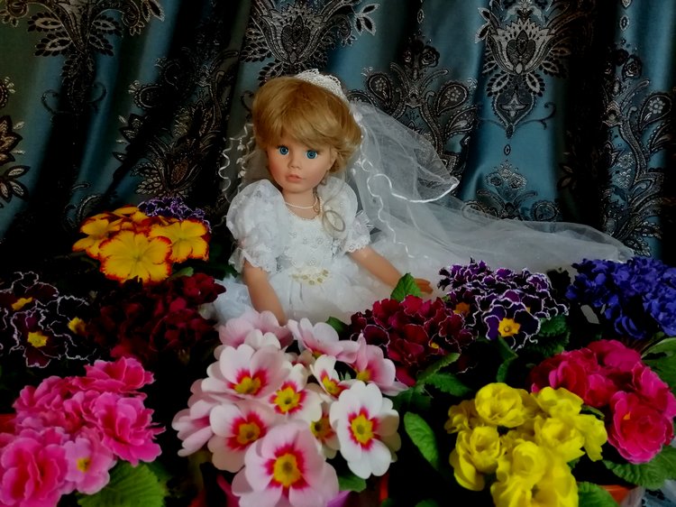 Мой рай... Мои невесты — Домашние коллекции кукол: фото собраний