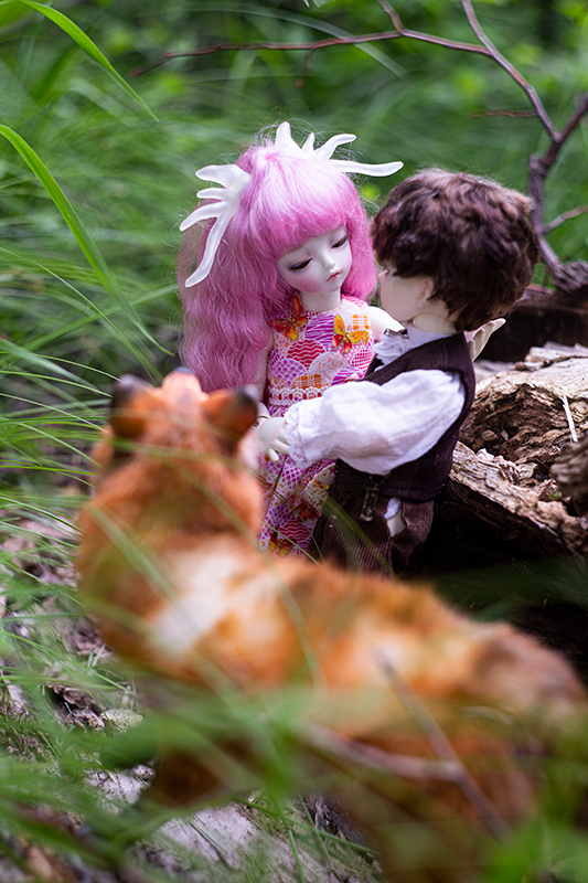 Сказки Волшебного Леса. Часть 1