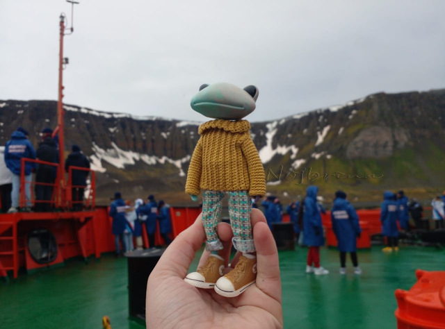 Большое путешествие Кензо. Арктика. Северный полюс