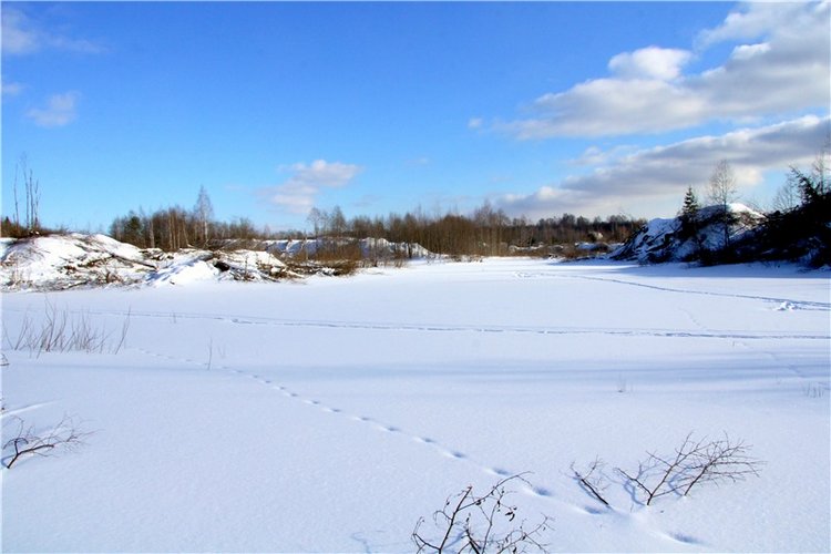 Зимняя прогулка Сони. Уникальная кукла от Сильвии Наттерер