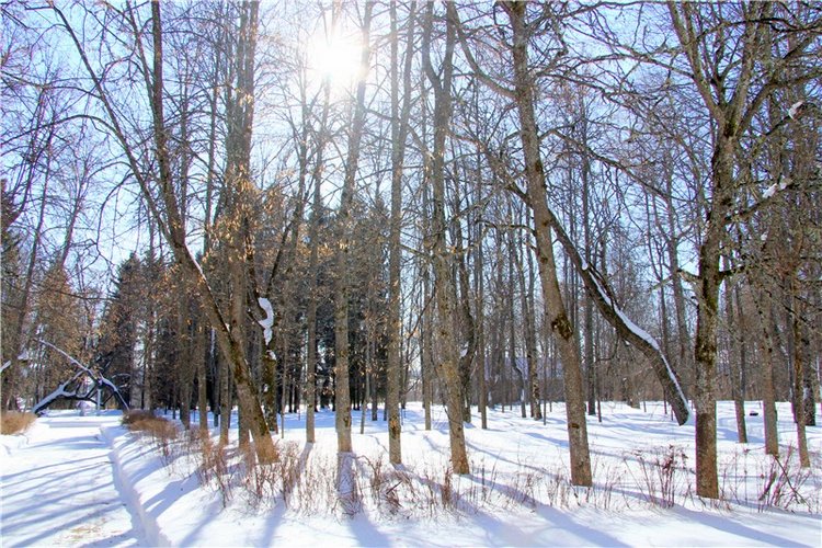 Снежный Март — Туризм и путешествия: фотоотчеты из поездок